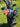 Golf clubs covered with leather iron covers in a bag with a golf course in the background